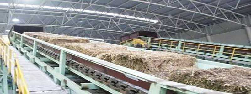 成都消泡劑-四川成都鄧先生造紙制漿用消泡劑使用和應用案例