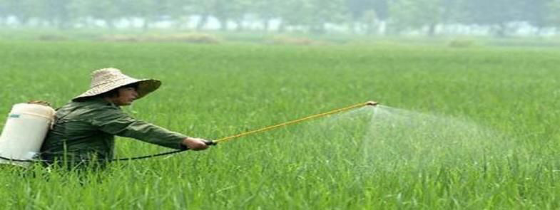 使用農藥時泡沫太多是怎么回事，農藥消泡劑能有用嗎？