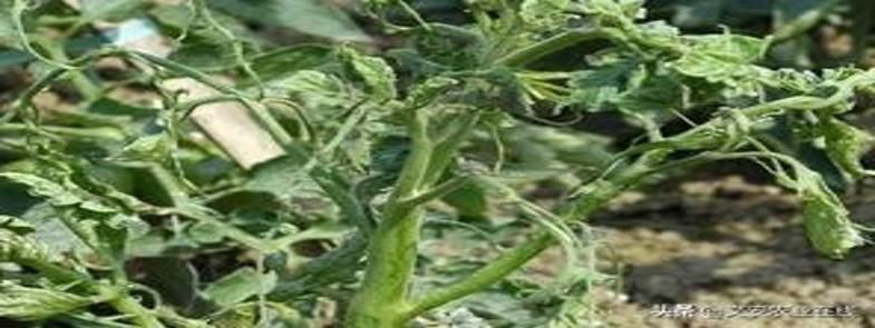 懸浮劑泡沫多，懸浮劑消泡劑能解決泡沫嗎？