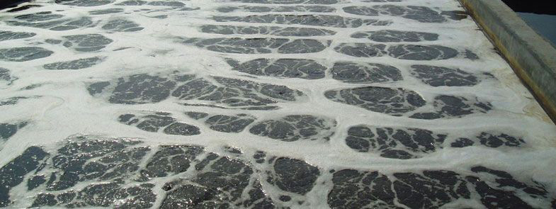 生化池泡沫多是什么原因，生化池泡沫怎么解決？