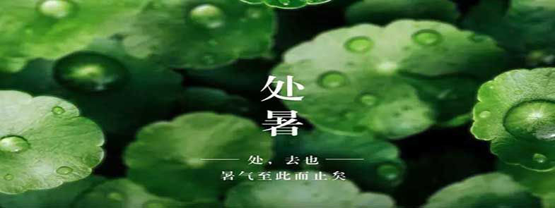 天上雙星合，人間處暑秋