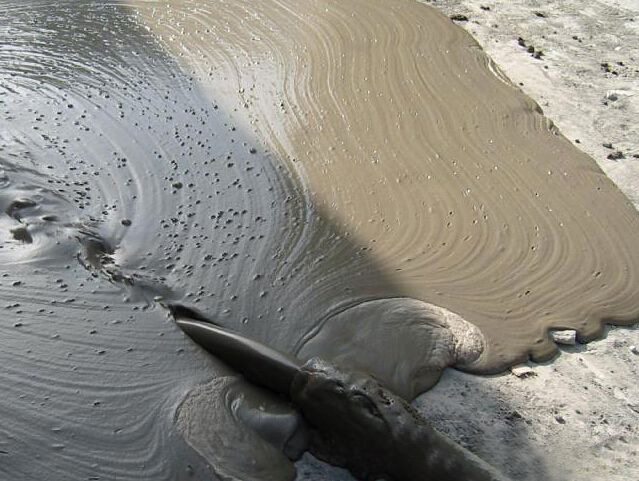 混凝土泡沫的危害，如何解決混凝土泡沫？