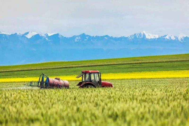 農(nóng)業(yè)用品出現(xiàn)大量泡沫，用農(nóng)業(yè)消泡劑會(huì)有用嗎？