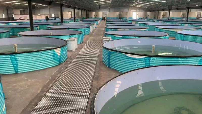 循環(huán)水起泡沫什么原因,用什么消泡劑效果好?