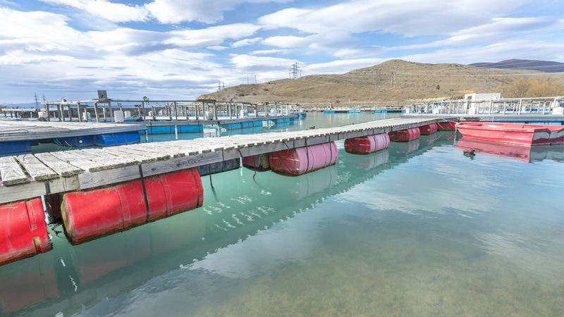 污水起泡沫,用什么方法去除泡沫?