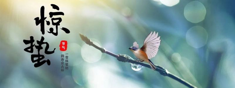 微雨眾卉新,一雷驚蟄始