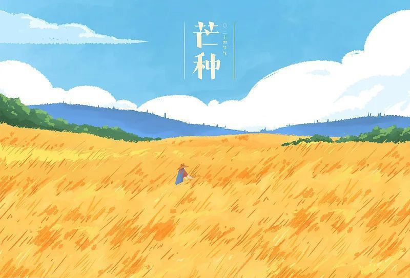 芒種看今日,蟬鳴夏始忙