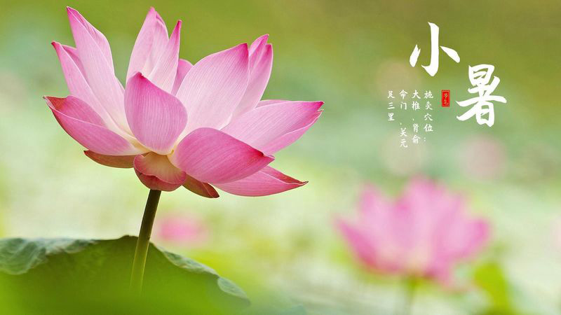 溫風至，小暑到