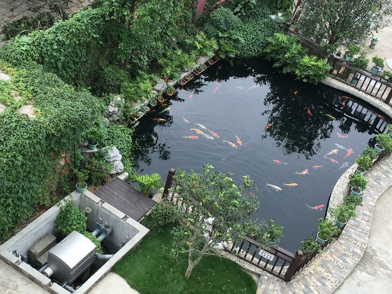 景觀池泡沫什么情況，怎么處理景觀池泡沫？