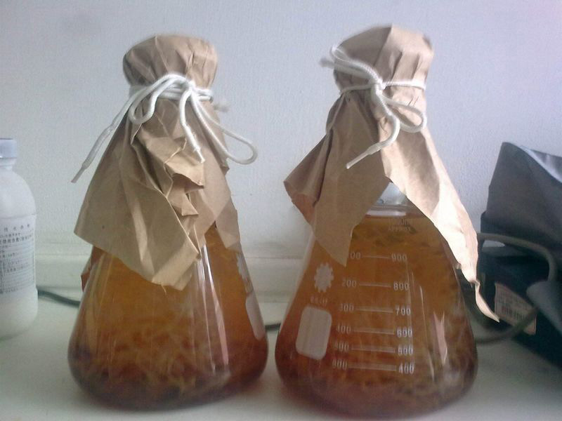 發(fā)酵液泡沫多有問題,發(fā)酵液消泡劑可以解決泡沫?