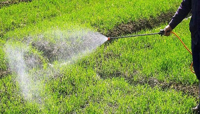 濟寧消泡劑-山東濟寧姜先生除草劑消泡劑使用和應用案例