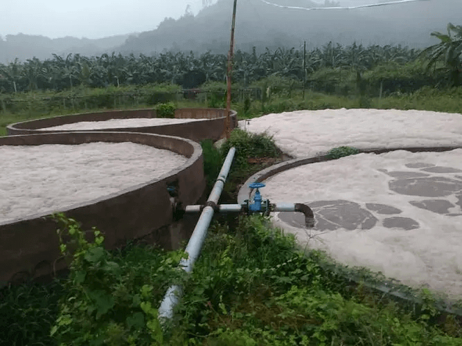 好氧池消泡劑應用場景圖